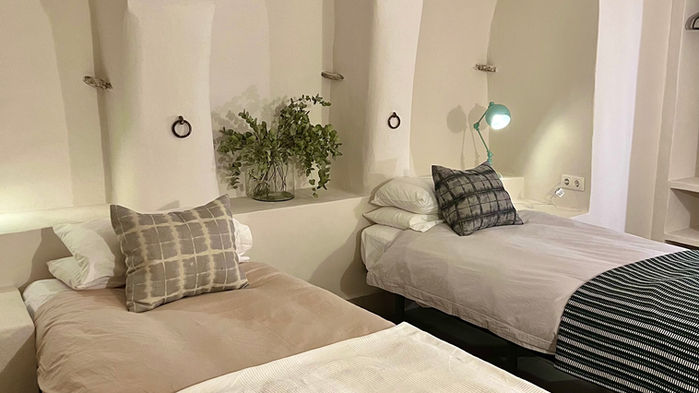 2 beds, pillows, architectural features, plants, blankets, lamps