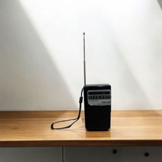 Miniatura: Rádio portátil recarregável GT-21R