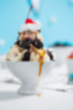 The Plaid Penguin Charlotte, NC / Restaurant / Real Estate / Retail / Branding • Design • Marketing • PR