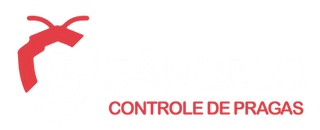 SANDALO.png