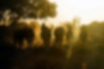 AdobeStock_378790089.jpeg