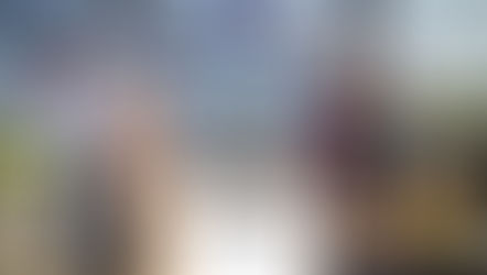 De onthulling van een schilderij als bedrijfscadeau