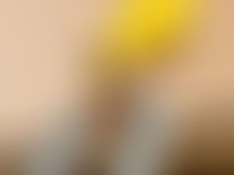 TOWARDS ZERO SERIOUS TRAFFIC INJURIES: DRIVER SAFETY CHECKS FOR LCV