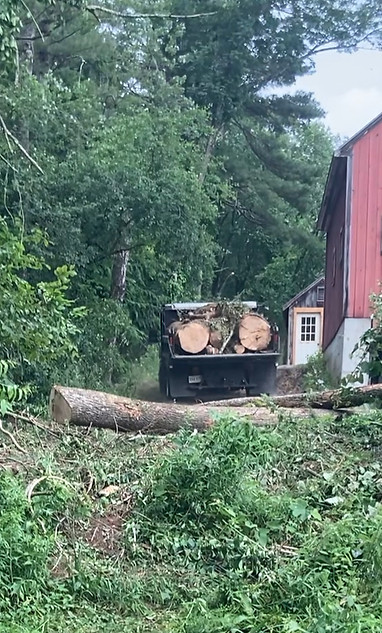 Forestry Mulching & land Clearing Lee, New Hampshire