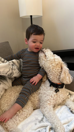 Stella's puppy 2019-Bentley