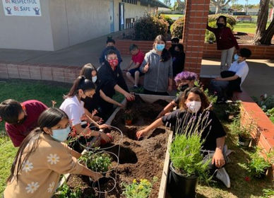 Botany+and+Bees+Planting.jpeg