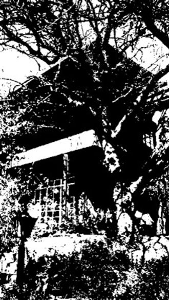 Picture1.jpg