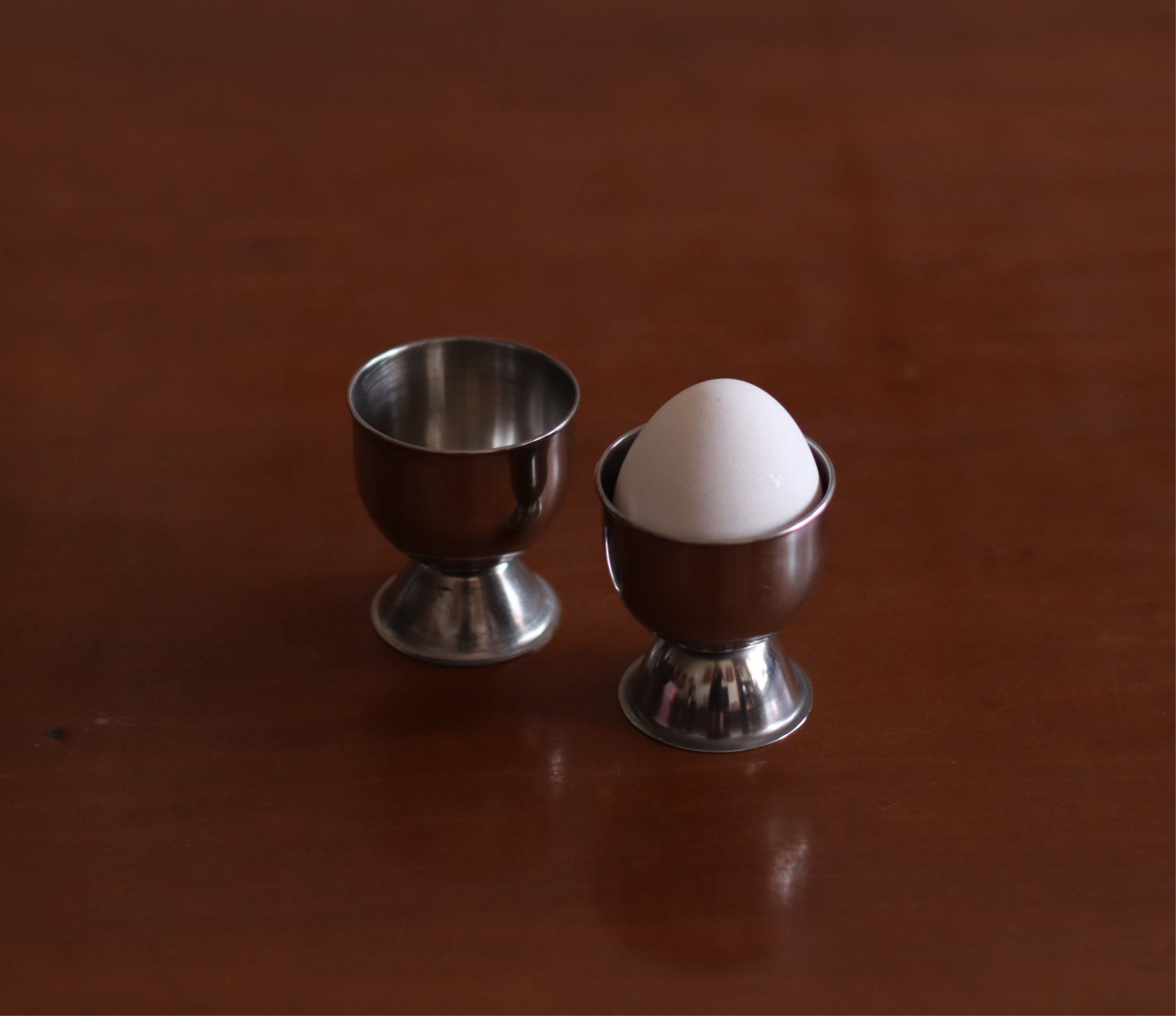 זוג ביציות סטיינלס