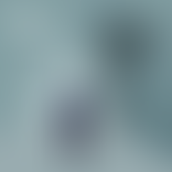 Identity Focused Habit