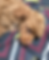 20250712_103537.heic