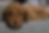 20250717_135516.heic