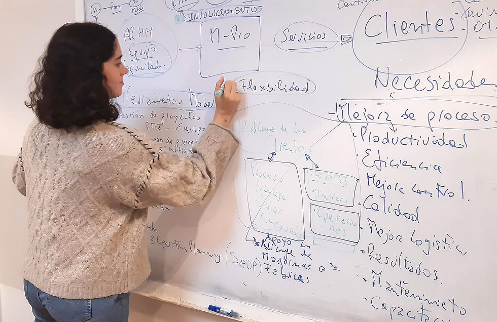 Milena - MPro - mejoras y procesos