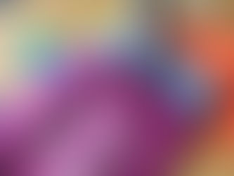 バーズワーズのマルシェバッグ