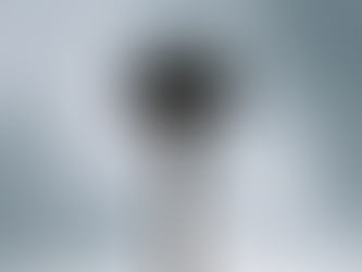 Scanning the Streets: Should the UK Allow Facial Recognition in Public Spaces?