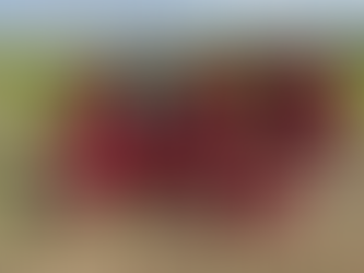 【U9】国チビ2部決勝トーナメントBEST16