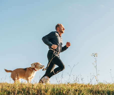 Are You Exercising Your Dog Correctly?