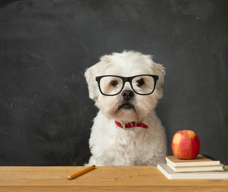 Group Classes & Why You Should Attend Them