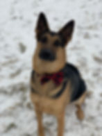 Odin