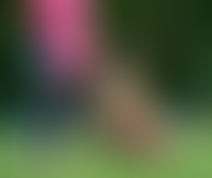 Focus & Engagement: The Backbone for Training