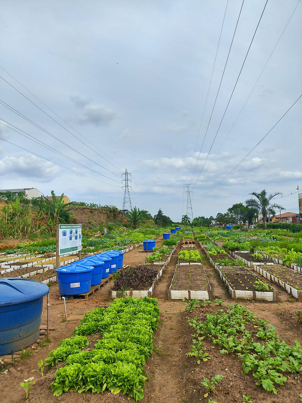 Foto do Projeto de Compostagem da Ambiente Livre