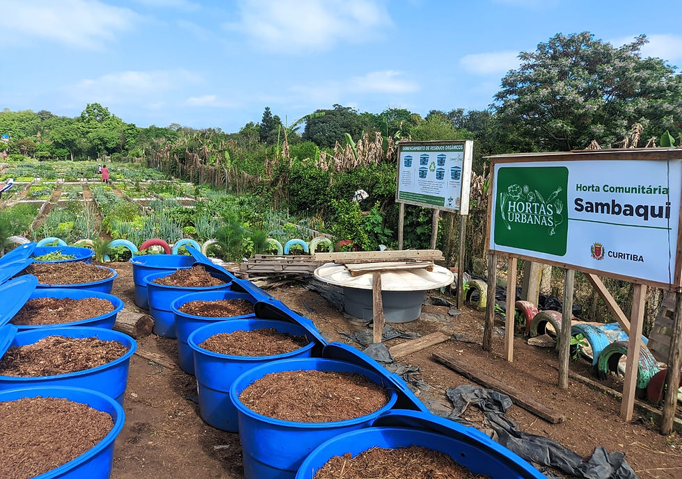 Foto do Projeto de Compostagem da Ambiente Livre