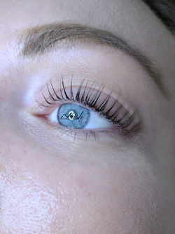 Lash Lift & Tinting