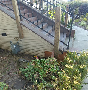 before picture for staircase.jpg