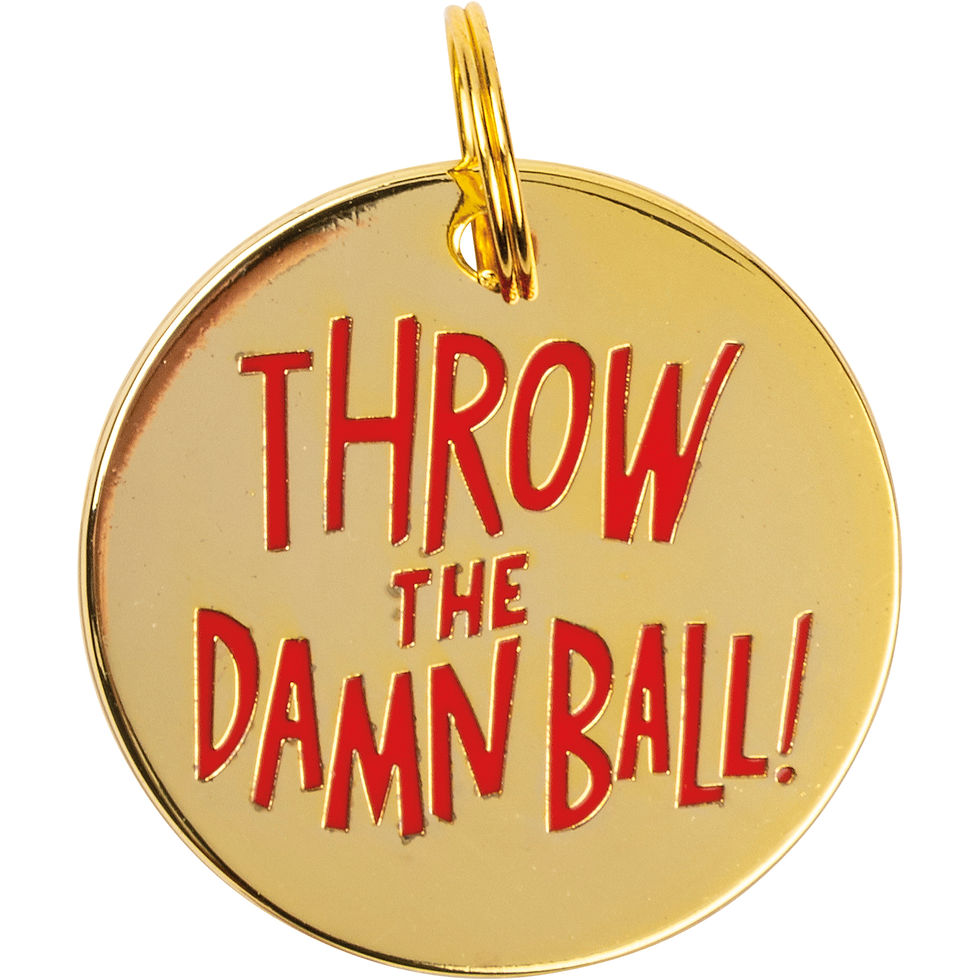 Collar Charm - Throw the Damn Ball!