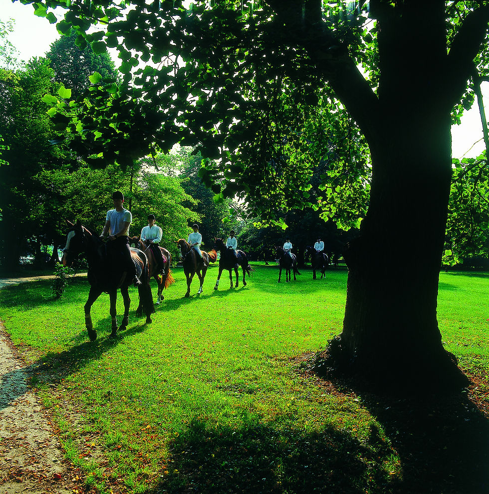 OTOČEC - HORSE RIDING