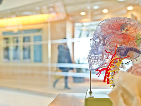 What is our mind and body’s relation to trauma?