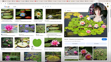 2 - Plantas 3.png