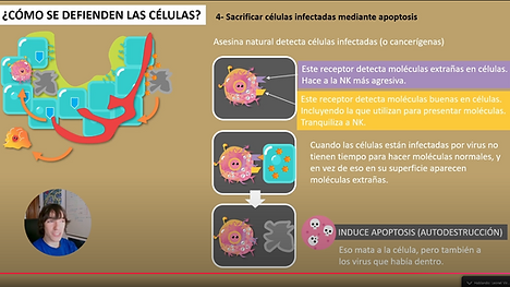 2 - Defensa contra virus 2.png