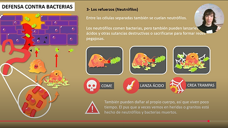 1 - Defensa contra bacterias.png