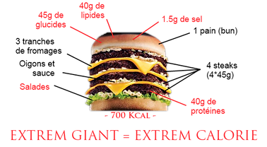 quick-burger-malbouffe-calories-bigmac (
