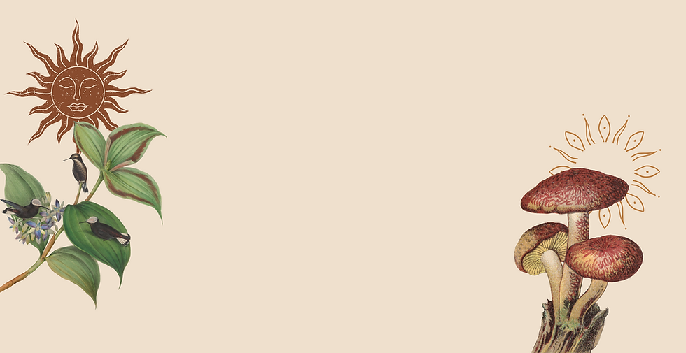 E&A_WebsiteAssets.png