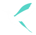 JoyCode_Bird-41.png