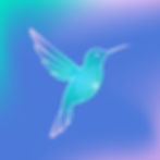 AmieBranding_websitegraphics-17.jpg