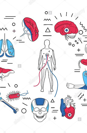 banner-web-de-miembros-artificiales-implantes-protesicos-de-diferentes-organos-y-partes-de