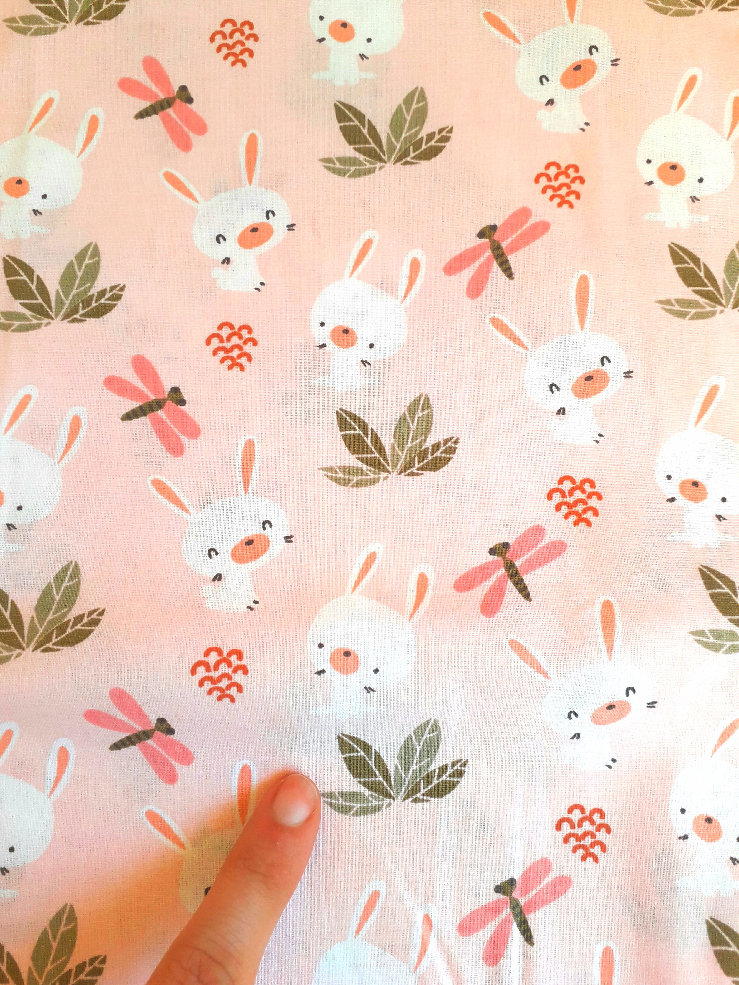 Lapin rigolo fond rose