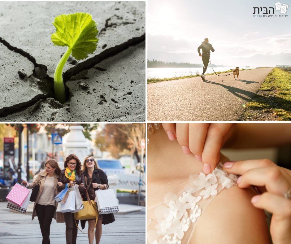 קלף 'התחדשות'