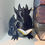 Miniaturbild: Lesender Drachen Pagekeeper mit LED-Augen | Fantasie Bücherregal-Deko Geschenk f