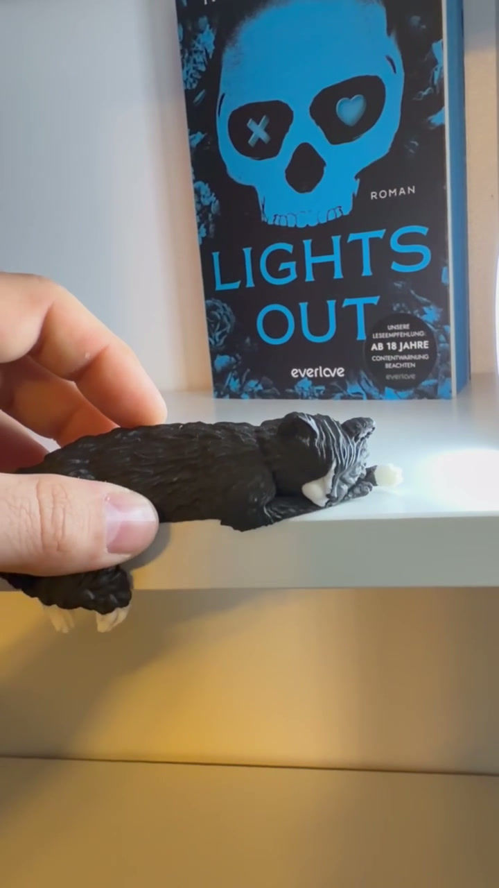 Miniaturbild: Lights Out Katze liegt über Regalkante vor Büchern