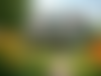 Essential Tips and Seasonal Hacks for Home Buyers Sellers and Owners in Northwest Austin