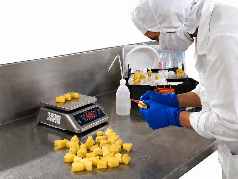 Quality control lab at Delifrost frozen fruit processor in Costa Rica