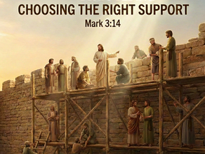 Scaffolding - Choosing the Right Support