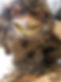 received_568499714715979.jpeg