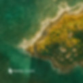 tokipa-watercolor.jpg