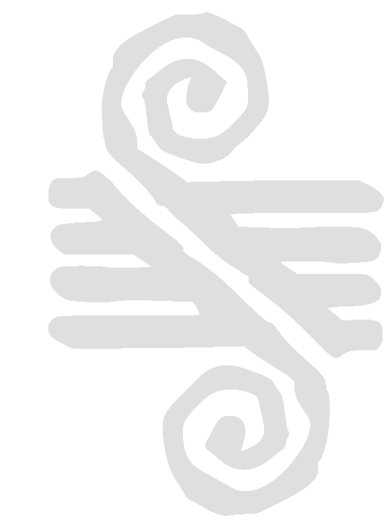 tokipalogo_edited_edited