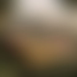 Investing in Mexican Luxury Properties: A Coastal Dream