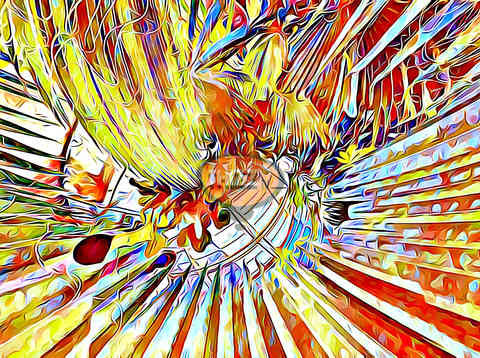 Crypto Tiny Planet 0083.jpg